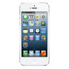 Apple iPhone 5 16Gb white - Сестрорецк