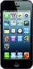 Apple iPhone 5 16GB - Сестрорецк