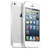 Apple iPhone 5 64Gb white - Сестрорецк